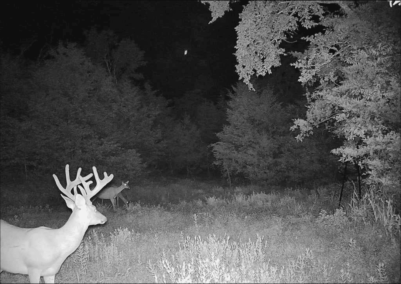 ARKANSAS HOME AND HUNTING LAND FOR SALE IN NORTH CENTRAL ARKANSAS